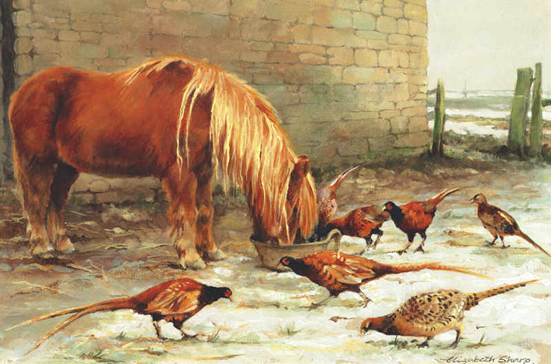 The Shared Breakfast