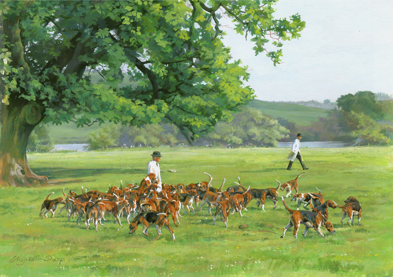 Belvoir hounds in the Park