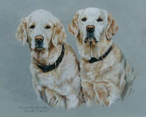 Cream Labradors