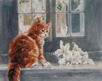 Ginger Tom