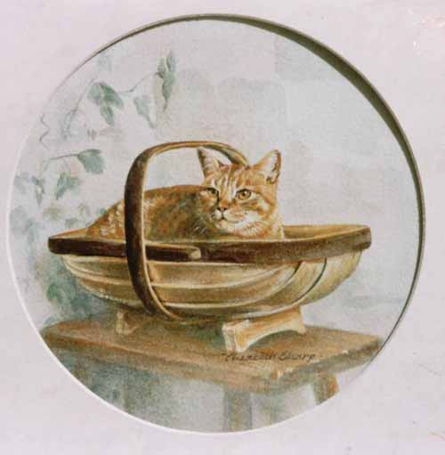 Cat Basket